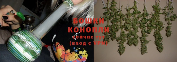 дживик Коряжма
