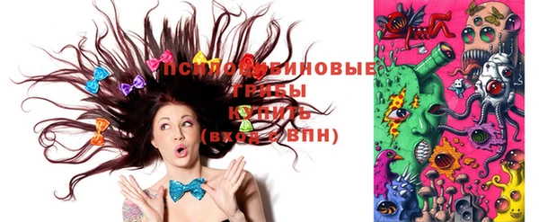 прущая мука Корсаков